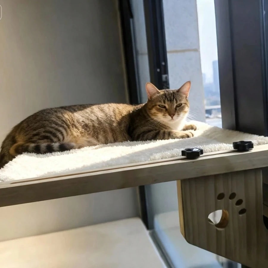 Cat Hammock Bedside Cat Bed Hanging Cat Bed Hanging Bed Windowsill Hammock Cat Frame Window Pet Cat Sunbathing