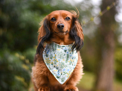 "Daddy's Girl" Dog Bandana