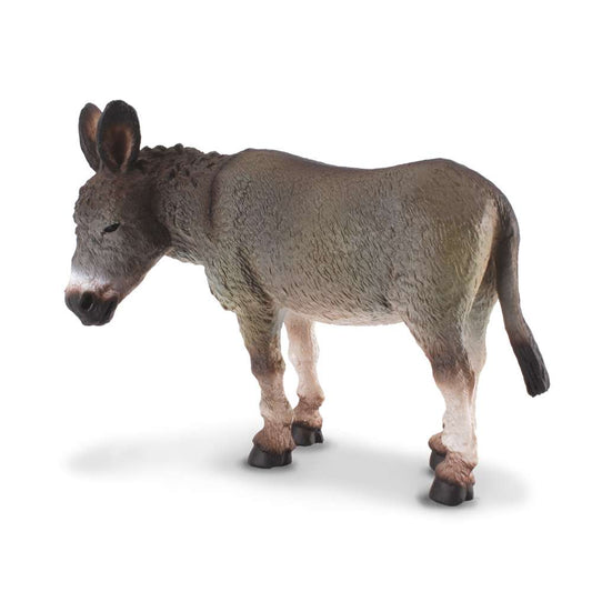 Donkey Grey