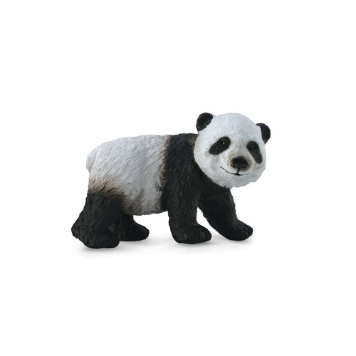 Giant Panda Cub Standing