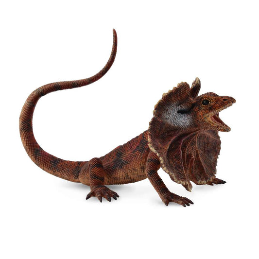 Frill Necked Lizard