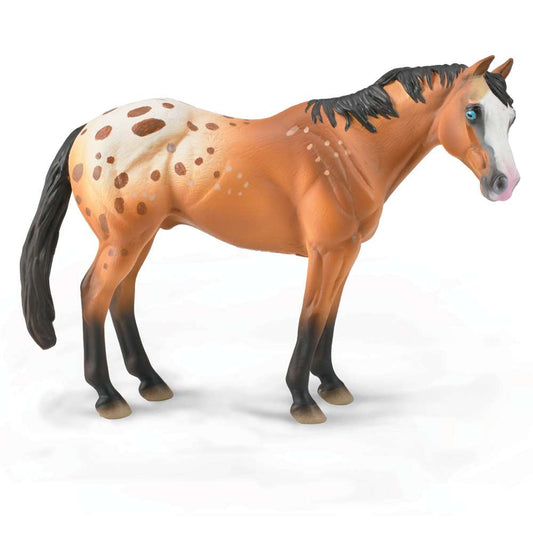 Appaloosa Stallion Light Brown