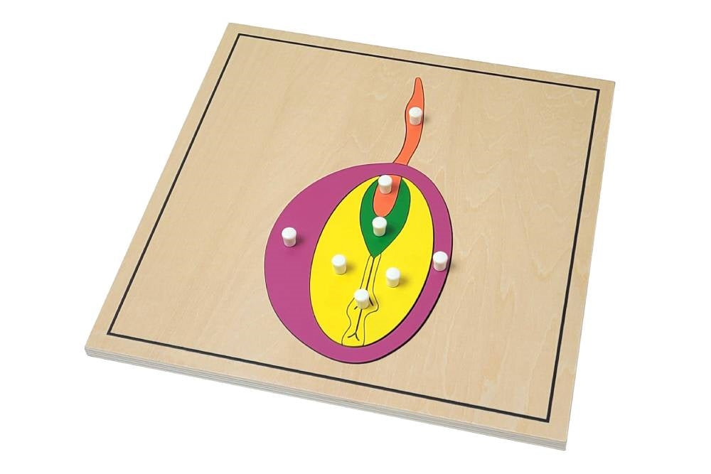 Seed Puzzle