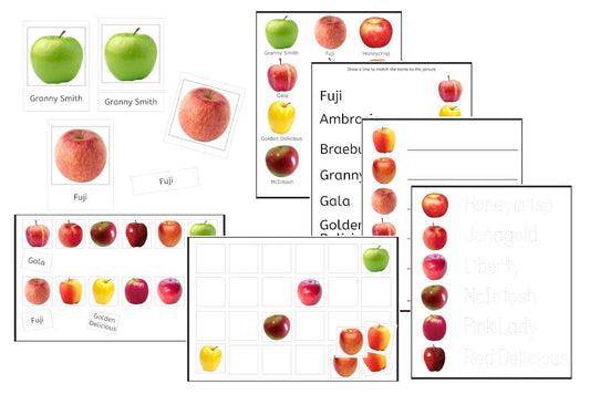 Apples Exercise Set (PDF)