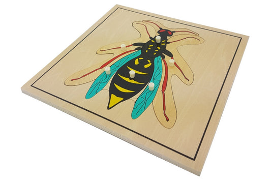 Wasp Puzzle