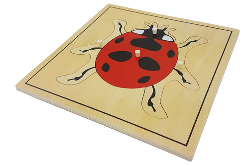 Ladybug Puzzle