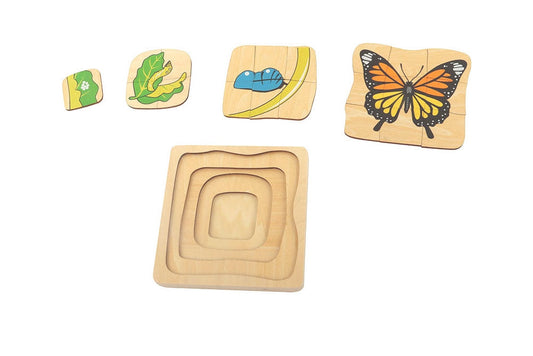 Puzzle of Butterfly Life Cycle