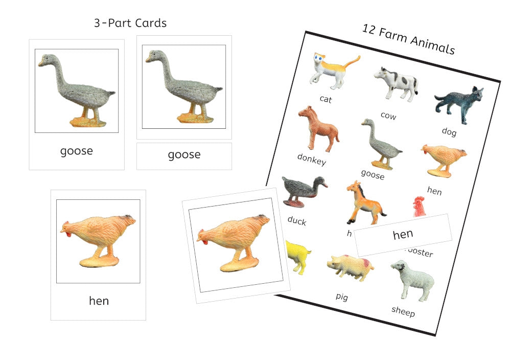 12 Farm Animals 3-Part Cards (PDF)