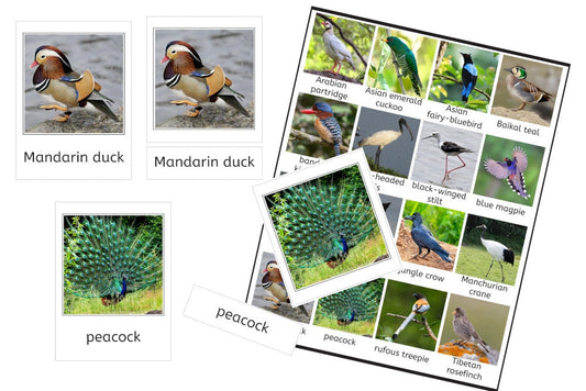 Birds of Asia (PDF)