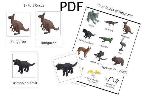 12 Animals of Australia 3-Part Cards (PDF)