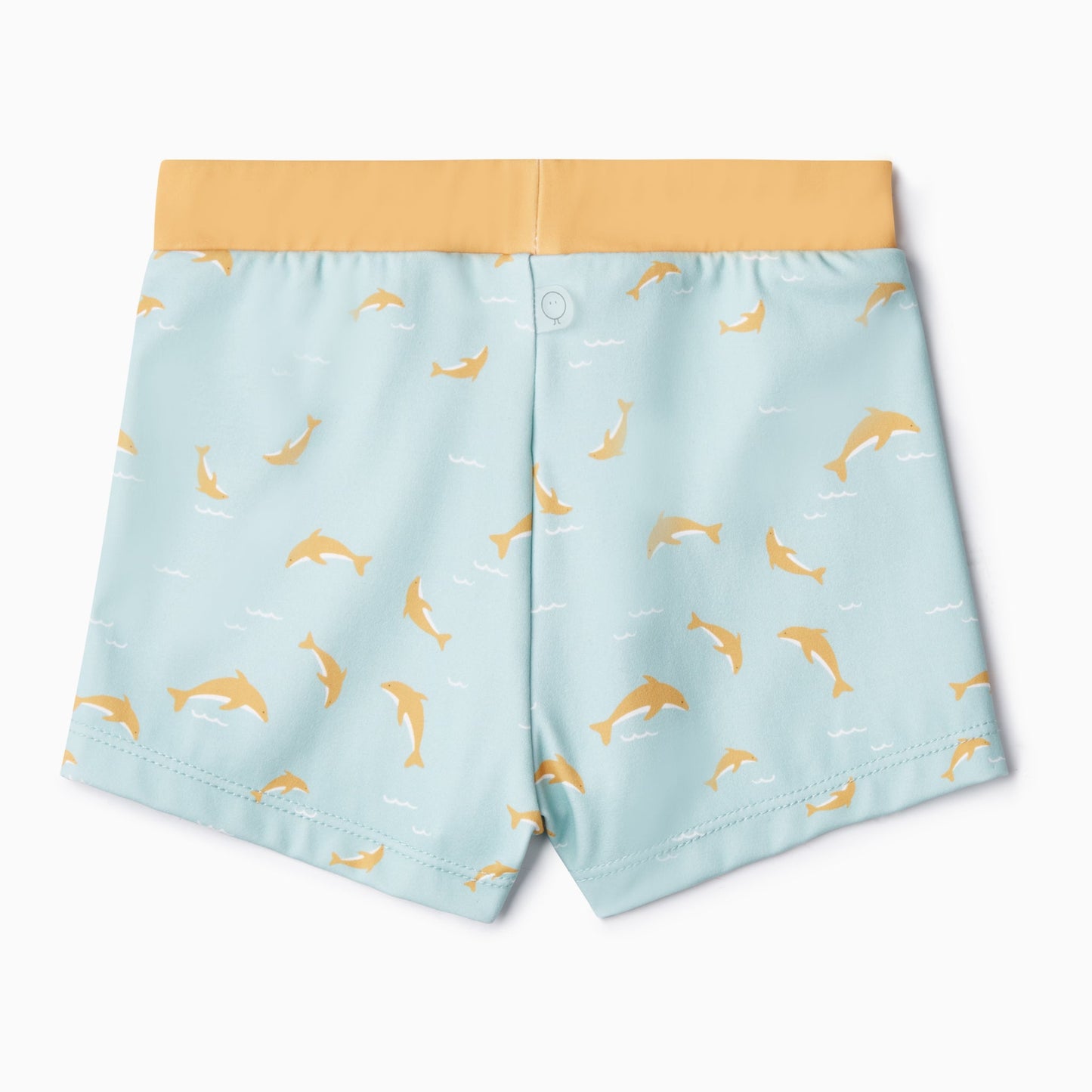 Dolphin Swim Shorts