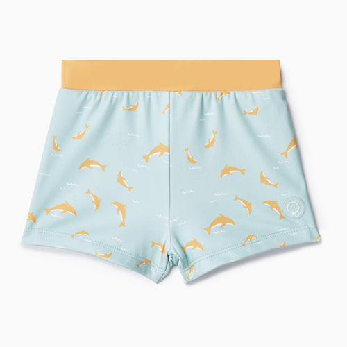 Dolphin Swim Shorts