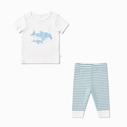 Dolphin & Striped Pyjamas