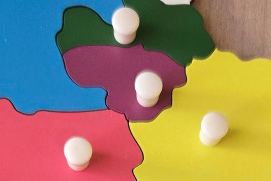 Lithuania - Puzzle Piece of Europe (Plastic Knob)