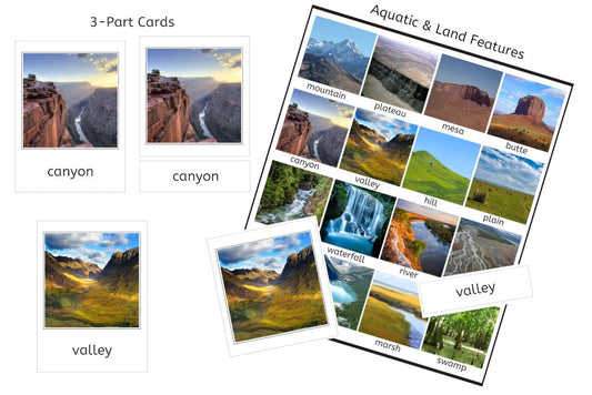 Aquatic & Land Feature 3-Part Cards - Set A (PDF)