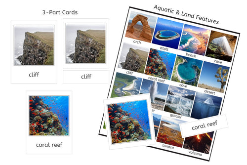Aquatic & Land Feature 3-Part Cards - Set B (PDF)