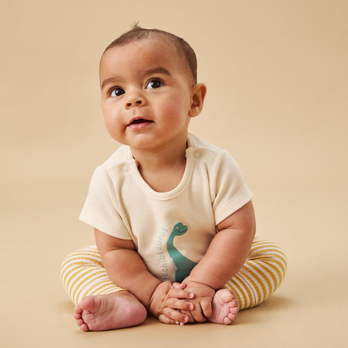 Brachiosaurus Dino T-Shirt & Ribbed Leggings Outfit