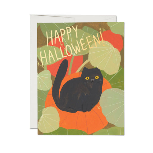 Halloween Kitten Greeting Card
