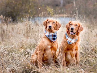 "Daddy's Girl" Dog Bandana
