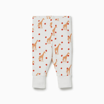 Giraffe Long Sleeve T-Shirt & Leggings Set
